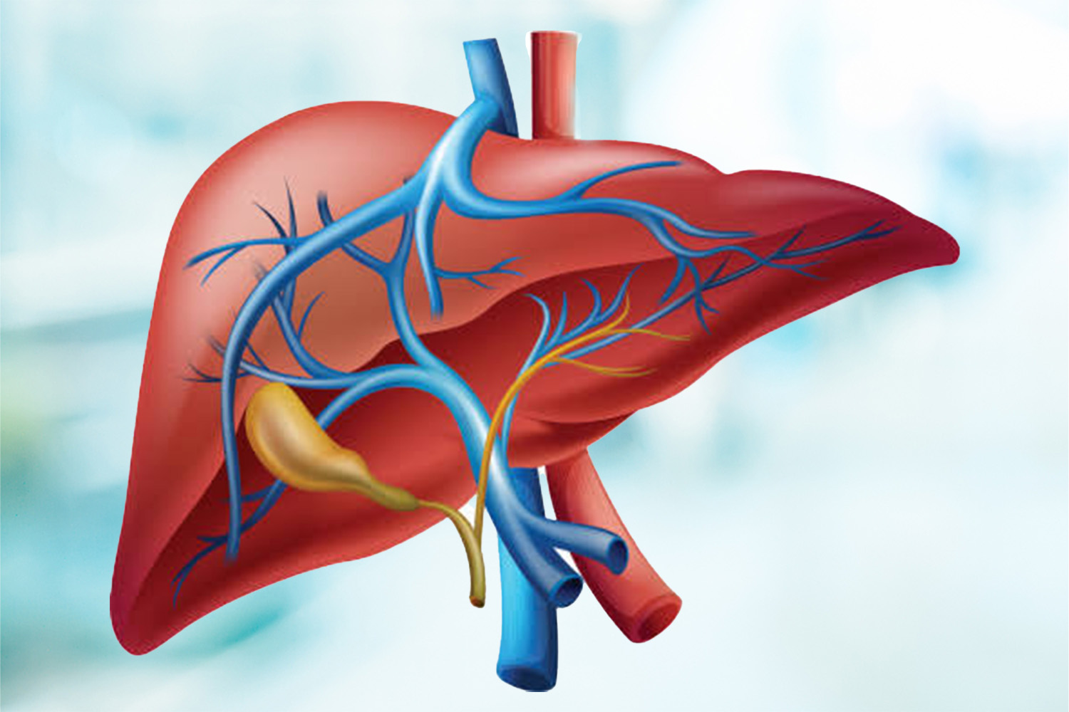 Biliary Obstructions